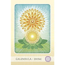 Load image into Gallery viewer, The Herbal Healing Deck