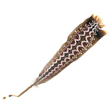Load image into Gallery viewer, Star Spirit Painted Feather