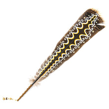Load image into Gallery viewer, Star Spirit Painted Feather