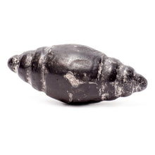Load image into Gallery viewer, Meteorite Chumpi Stone Set - 12 Piece - Large