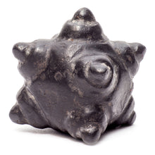 Load image into Gallery viewer, Meteorite Chumpi Stone Set - 12 Piece - Large