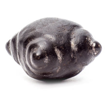 Load image into Gallery viewer, Meteorite Chumpi Stone Set - 12 Piece - Large
