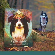 Load image into Gallery viewer, The Spirit Animal Oracle: A 68-Card Deck and Guidebook Cards by Colette Baron Reid
