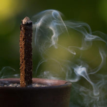 Load image into Gallery viewer, Umo Canelo Incense Sticks

