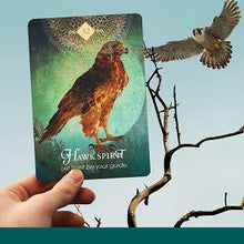 Load image into Gallery viewer, The Spirit Animal Oracle: A 68-Card Deck and Guidebook Cards by Colette Baron Reid

