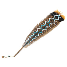 Load image into Gallery viewer, Star Spirit Painted Feather
